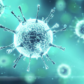 Aktuelle Informationen zum Coronavirus